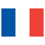 french flag logo